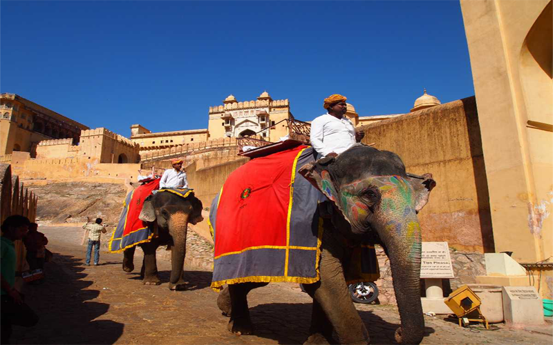 elephant-safari elephant-safari